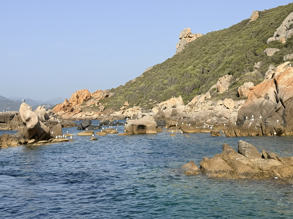 Crique rocheuse bordée de maquis sur la côte du Valinco, vue aérienne par drone