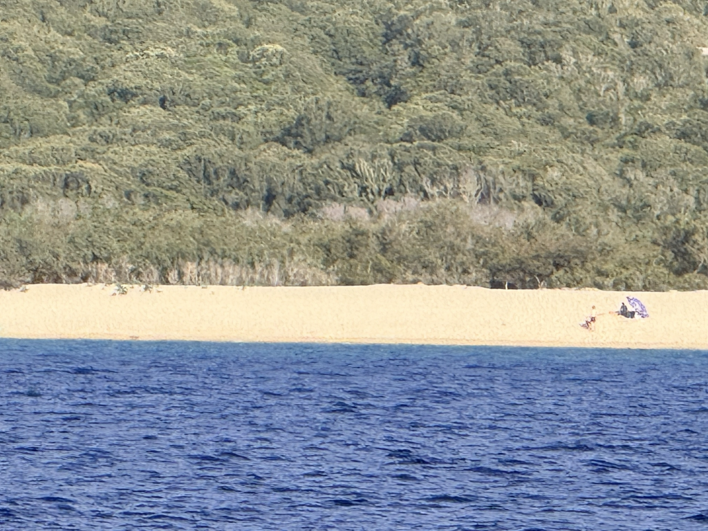 Vue aérienne par drone d'une plage du Golfe du Valinco, secteur de Propriano